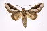  ( - INB0004104112)  @14 [ ] Copyright (2012) I. Chacon Instituto Nacional de Biodiversidad