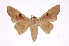  ( - INB0004104156)  @14 [ ] Copyright (2012) I. Chacon Instituto Nacional de Biodiversidad