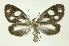  ( - INB0004105702)  @13 [ ] Copyright (2012) Juan Mata Lorenzen Unspecified