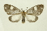  ( - INB0004107267)  @14 [ ] Copyright (2012) Juan Mata Lorenzen Unspecified