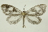  ( - INB0004107353)  @13 [ ] Copyright (2012) Juan Mata Lorenzen Unspecified