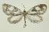  ( - INB0004107353)  @13 [ ] Copyright (2012) Juan Mata Lorenzen Unspecified