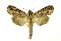  ( - INB0004110905)  @14 [ ] Copyright (2012) Juan Mata Lorenzen Unspecified