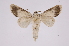  ( - INB0004110933)  @13 [ ] Copyright (2012) I. Chacon Instituto Nacional de Biodiversidad