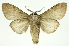  ( - INB0004110936)  @14 [ ] Copyright (2012) Juan Mata Lorenzen Unspecified