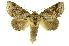  ( - INB0004110990)  @14 [ ] Copyright (2012) Juan Mata Lorenzen Unspecified