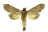  ( - INB0004110995)  @13 [ ] Copyright (2012) Juan Mata Lorenzen Unspecified