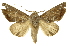  ( - INB0004115956)  @14 [ ] Copyright (2012) J. Montero INBio