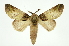  ( - INB0004117620)  @14 [ ] Copyright (2012) Juan Mata Lorenzen Unspecified