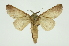  ( - INB0004117620)  @14 [ ] Copyright (2012) Juan Mata Lorenzen Unspecified