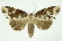  ( - INB0004117675)  @13 [ ] Copyright (2012) Juan Mata Lorenzen Unspecified