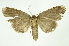  ( - INB0004117675)  @14 [ ] Copyright (2012) Juan Mata Lorenzen Unspecified