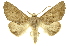  ( - INB0004127373)  @14 [ ] Copyright (2012) Juan Mata Lorenzen INBio