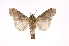  ( - INB0004127375)  @14 [ ] Copyright (2012) I. Chacon Instituto Nacional de Biodiversidad