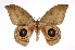  ( - INB0004127506)  @14 [ ] Copyright (2012) I. Chacon Instituto Nacional de Biodiversidad