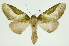  ( - INB0004127536)  @14 [ ] Copyright (2012) Juan Mata Lorenzen Unspecified