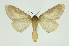  ( - INB0004127536)  @13 [ ] Copyright (2012) Juan Mata Lorenzen Unspecified
