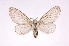  ( - INB0004127721)  @14 [ ] Copyright (2012) J. Montero Instituto Nacional de Biodiversidad