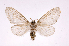 ( - INB0004127721)  @13 [ ] Copyright (2012) J. Montero Instituto Nacional de Biodiversidad