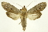  ( - INB0004127746)  @14 [ ] Copyright (2012) Juan Mata Lorenzen Unspecified