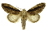  ( - INB0004134728)  @15 [ ] Copyright (2012) Juan Mata Lorenzen Unspecified