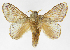  ( - INB0004134735)  @12 [ ] Copyright (2012) J. Montero Instituto Nacional de Biodiversidad