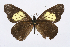  ( - INB0004135042)  @12 [ ] CreativeCommons - Attribution Non-Commercial Share-Alike (2012) National Biodiversity Institute of Costa Rica National Biodiversity Institute of Costa Rica