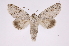  ( - INB0004137571)  @14 [ ] Copyright (2012) I. Chacon Instituto Nacional de Biodiversidad