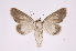  ( - INB0004137571)  @14 [ ] Copyright (2012) I. Chacon Instituto Nacional de Biodiversidad