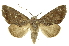  ( - INB0004137577)  @14 [ ] Copyright (2012) J. Montero INBio