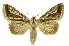  ( - INB0004137601)  @14 [ ] Copyright (2012) Juan Mata Lorenzen Unspecified