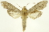  ( - INB0004137799)  @14 [ ] Copyright (2012) Juan Mata Lorenzen Unspecified