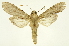  ( - INB0004137799)  @14 [ ] Copyright (2012) Juan Mata Lorenzen Unspecified