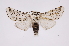  ( - INB0004137827)  @14 [ ] Copyright (2012) I. Chacon Instituto Nacional de Biodiversidad