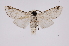  ( - INB0004137827)  @13 [ ] Copyright (2012) I. Chacon Instituto Nacional de Biodiversidad
