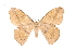  ( - INB0004137946)  @14 [ ] Copyright (2012) I. Chacon Instituto Nacional de Biodiversidad