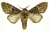  ( - INB0004137963)  @14 [ ] Copyright (2012) Juan Mata Lorenzen Unspecified