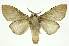  ( - INB0004137963)  @14 [ ] Copyright (2012) Juan Mata Lorenzen Unspecified