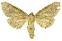  ( - INB0004137970)  @13 [ ] Copyright (2012) Juan Mata Lorenzen Unspecified