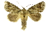  ( - INB0004137992)  @14 [ ] Copyright (2012) Juan Mata Lorenzen Unspecified