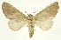  ( - INB0004143133)  @14 [ ] Copyright (2012) J. Montero INBio