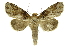  ( - INB0004143800)  @13 [ ] Copyright (2012) Juan Mata Lorenzen Unspecified