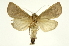  (Marthula - INB0004143823)  @15 [ ] Copyright (2012) Juan Mata Lorenzen Unspecified