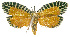  ( - INB0004146025)  @13 [ ] CreativeCommons - Attribution Non-Commercial Share-Alike (2012) National Biodiversity Institute of Costa Rica National Biodiversity Institute of Costa Rica