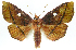 ( - INB0004146835)  @15 [ ] CreativeCommons - Attribution Non-Commercial Share-Alike (2012) National Biodiversity Institute of Costa Rica National Biodiversity Institute of Costa Rica