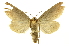  ( - INB0004146871)  @14 [ ] Copyright (2012) J. Montero INBio