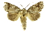  ( - INB0004147275)  @14 [ ] Copyright (2012) Juan Mata Lorenzen Unspecified