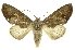  ( - INB0004147285)  @14 [ ] Copyright (2012) Juan Mata Lorenzen INBio