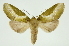  ( - INB0004147499)  @14 [ ] Copyright (2012) Juan Mata Lorenzen Unspecified