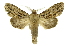  ( - INB0004147510)  @11 [ ] Copyright (2012) Juan Mata Lorenzen Unspecified